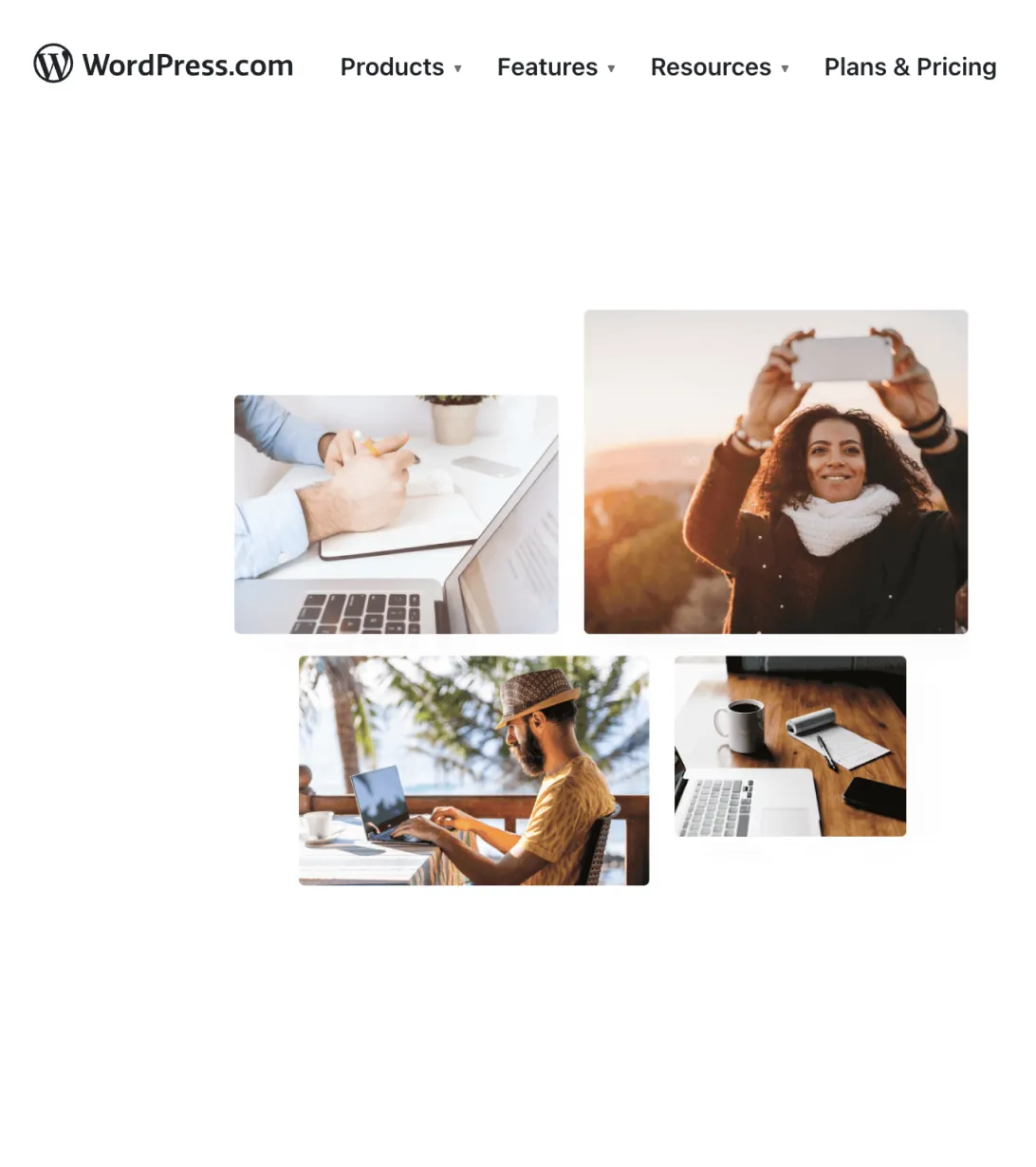 Wordpress
